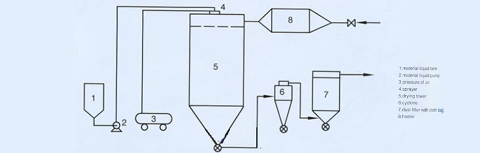 Organigramme