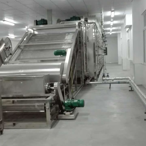  Ligne de production de chips de fruits 